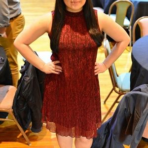 Red Glitter Sleeveless Dress By Tiana B in Size 10